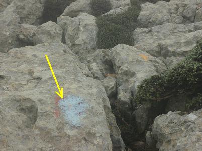 Puig Massanella